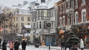 Эксперты рассказали, какими услугами интересовались россияне в преддверие новогодних праздников