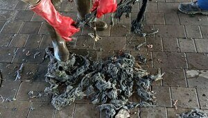 «Водоканал» попросил калининградцев не смывать в унитазы остатки новогодних салатов и ёлочные украшения  