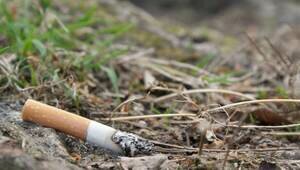 В России повышена минимальная цена пачки сигарет  