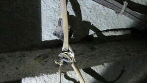 Жители дома в Рябиновке полтора года добиваются безопасности электрощита, однажды уже ставшего причиной пожара (фото)  