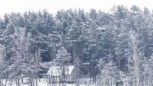 Поисковики предположили, когда найдут пропавшую семью Усольцевых