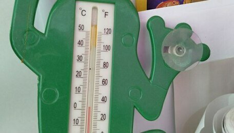 12 часов при +2: менеджеры калининградских пунктов Wildberries жалуются на ледяное равнодушие работодателей 