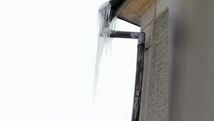 Калининградские сосульки из дайджеста «Клопс» проверяет прокуратура   