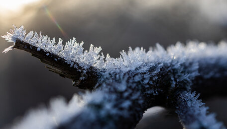 Температура ниже нормы на 10 градусов: в регионе ожидаются сильные морозы
