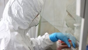 В ВОЗ опровергли слухи о «новом COVID-19» из-за вируса Нипах