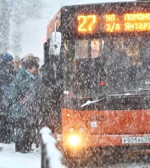 «Весь парк тарахтит»: в Калининграде автобусы не глушат сутками из-за морозов