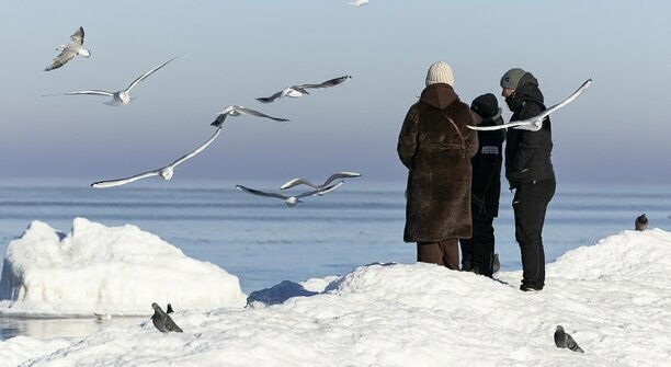 В МЧС поступили десятки звонков о промокших смельчаках, рискнувших прогуляться по морскому льду в Пионерском  