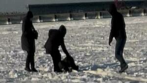 «Лёд трещит по швам»: в Пионерском ребёнок провалился в полынью