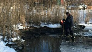 В Балтийске местные власти сделали прорубь во льду канала, чтобы спасти замерзающих птиц (видео, фото)  
