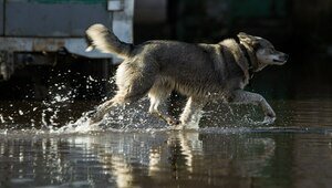 Синоптики спрогнозировали весенние паводки в нескольких российских регионах
