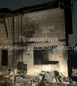 Стало известно о состоянии отца и дочери, спасшихся из горящего дома в СНТ под Калининградом  