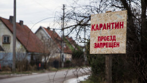 В Литве у домашних гусей выявили азиатскую чуму птиц