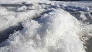 На Балтийской косе с 31 января застрял турист с собакой