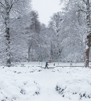 Калининградское свинцовое небо к вечеру выдавит из себя немного снега: прогноз погоды на 10 февраля