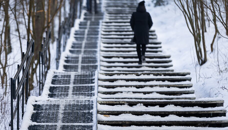 После оттепели в Калининградской области ожидаются морозы до −20 градусов — синоптики
