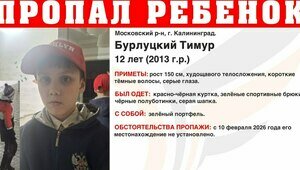 «Мальчика никто не видел с 11 февраля»: сотни добровольцев подключились к поискам 12-летнего школьника в Калининграде (видео)