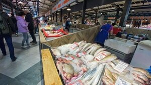 В Калининградской области вылов трески за год сократился почти вдвое — эксперты