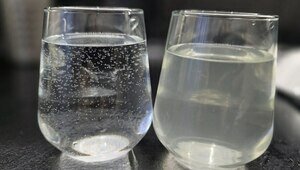 Бастрыкин поручил возбудить уголовное дело об «облепиховом чае» из Железнодорожного  