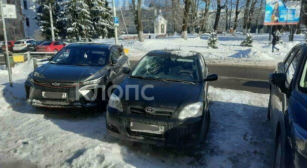 Пикирующая сосулька, кульбит на окружной Калининграда и амурные аферы: 7 событий минувших выходных  