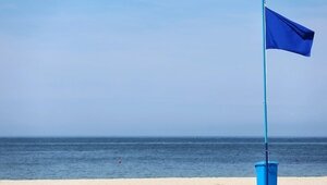 Власти всё ещё ищут новую площадку для лососёвой фермы после истории с Янтарным