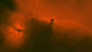 Калининградские учёные сняли одну из самых известных туманностей Ориона (фото)