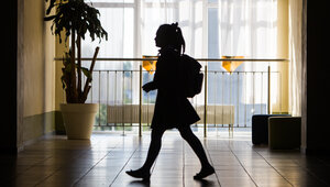 В Правдинске 10-летнюю девочку укусила бездомная собака: школа и ветслужба выплатят компенсацию