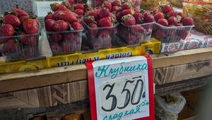 Мороз неслыханной щедрости: калининградские торговцы готовы уступать клубнику со скидкой до 95% (фото) 