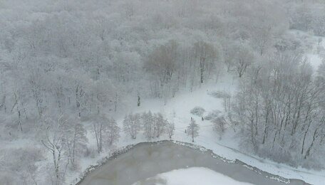 Похолодание и локальный снег: прогноз погоды в Калининградской области на пятницу