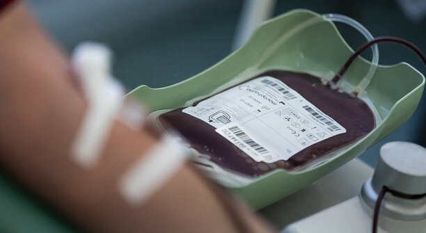 «Прекрасные молодые люди исполнили свой долг»: за один день в Калининграде 37 курсантов согласились стать донорами костного мозга