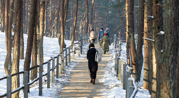 «Туристы должны уехать счастливыми»: калининградские гиды рассказали, чего хотят гости и кто знакомит их с регионом                                                                             