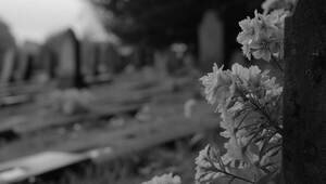 Умерла звезда фильма «А зори здесь тихие...» Ирина Шевчук