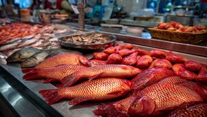 Рыбные истории: три рецепта для тех, у кого чешуйки встают дыбом от удовольствия