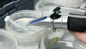 В Музее Мирового океана рассказали, как ухаживают за аквариумами (фото, видео)  