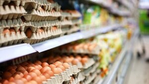 В Калининграде подорожали яйца: «Клопс» выяснял причины и разыскивал самый недорогой десяток  