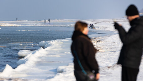 Потепление до +7°C и туманы: прогноз погоды в Калининградской области на пятницу