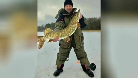 «Самая красивая щука — на Виштынце»: калининградец вытащил из лунки метровую рыбину (фото) 