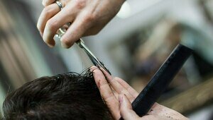 «На учёбу поспеши, ведь тебя там встретят вши»: музыкальный дайджест калининградских новостей за неделю (видео)  