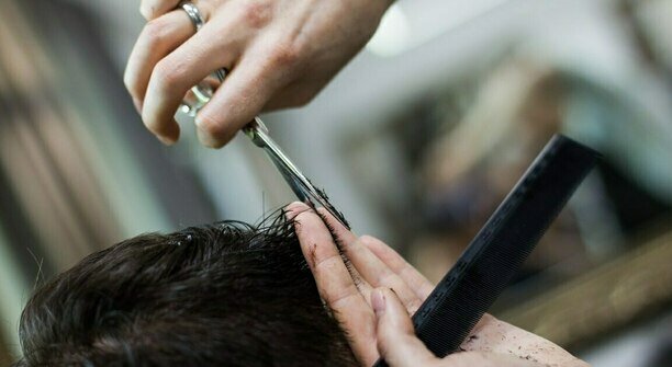 «На учёбу поспеши, ведь тебя там встретят вши»: музыкальный дайджест калининградских новостей за неделю (видео)  