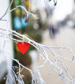 В первую «зеркальную дату» года в Калининградской области создали 41 новую семью 
