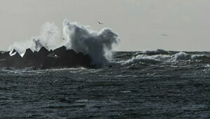 Утром в воскресенье на калининградском побережье Балтики усилится ветер — синоптики