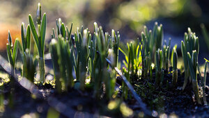 Синоптики пообещали тёплые и солнечные выходные в Калининградской области