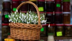 Концерты, ярмарки и велопробег: бесплатные мероприятия выходных в Калининградской области, которые запомнятся надолго