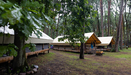 Кто из калининградских школьников бесплатно поедет в лагерь и почему стоит выбрать палаточный: Трусенёва — о планах на лето  