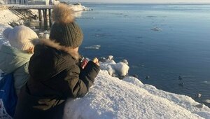 «Калининград по атмосфере понравился меньше Зеленоградска»: туристка рассказала о зимнем отдыхе с двумя детьми