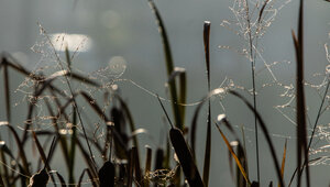 Туман, гололедица и до −5 ночью: прогноз погоды в Калининградской области на 6 марта
