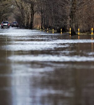 Жителей Калининградской области, живущих возле крупных рек, предупредили о подъёме воды