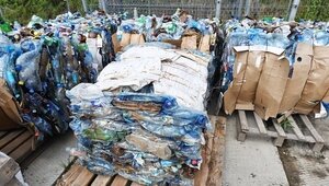 «Мерзкий исход»: эксперт назвал 3 проблемы, к которым приведёт кризис с утилизацией отходов в Калининградской области