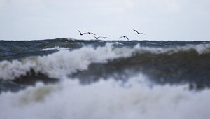 К утру пятницы на побережье Калининградской области ветер разгуляется до 17 м/с