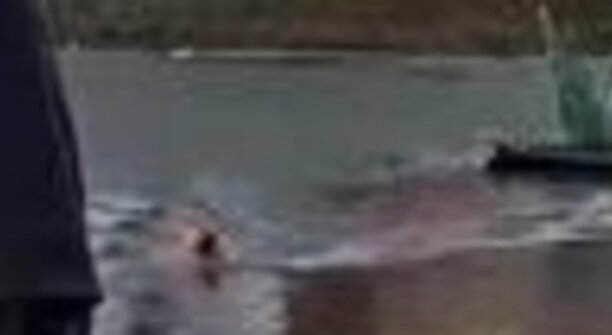 Беспрозванных поблагодарил мужчину, который спас тонувшего в Черняховске мальчика 