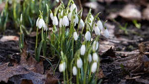 Дятлова объяснила, повлияет ли тёплый март на окончание отопительного сезона  